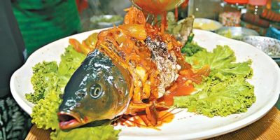 Picture The Yin Yang Fish Meal Is So Cruel that Even Chefs Refuse to Serve It