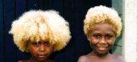 Picture The Blond Hair of Dark-skinned Melanesians Have No European Origins