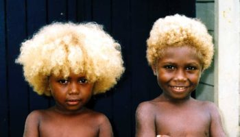 Picture The Blond Hair of Dark-skinned Melanesians Have No European Origins