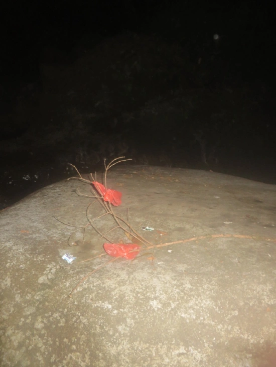 One strange picture found on the camera shows two plastic bags tied to a big twig.