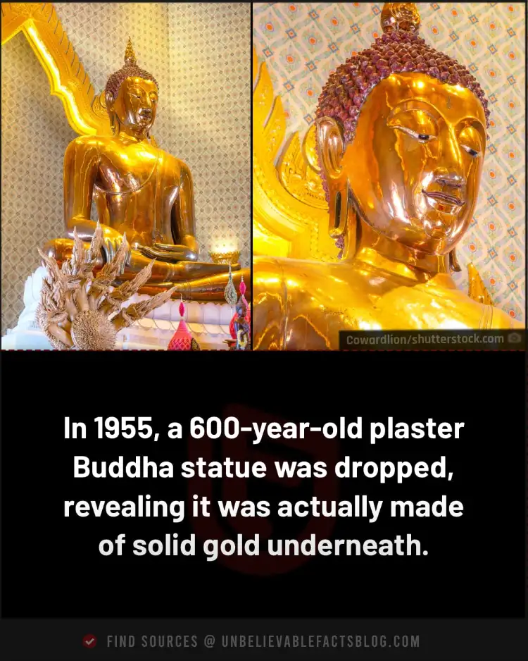 600-year-old plaster Buddha statue was dropped