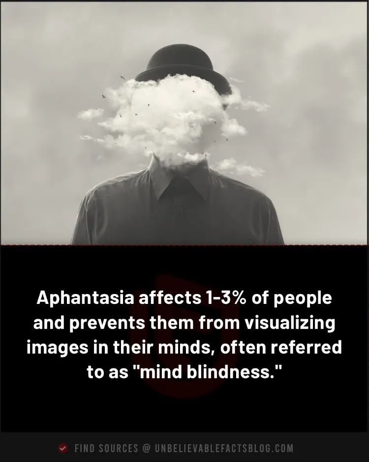 Aphantasia