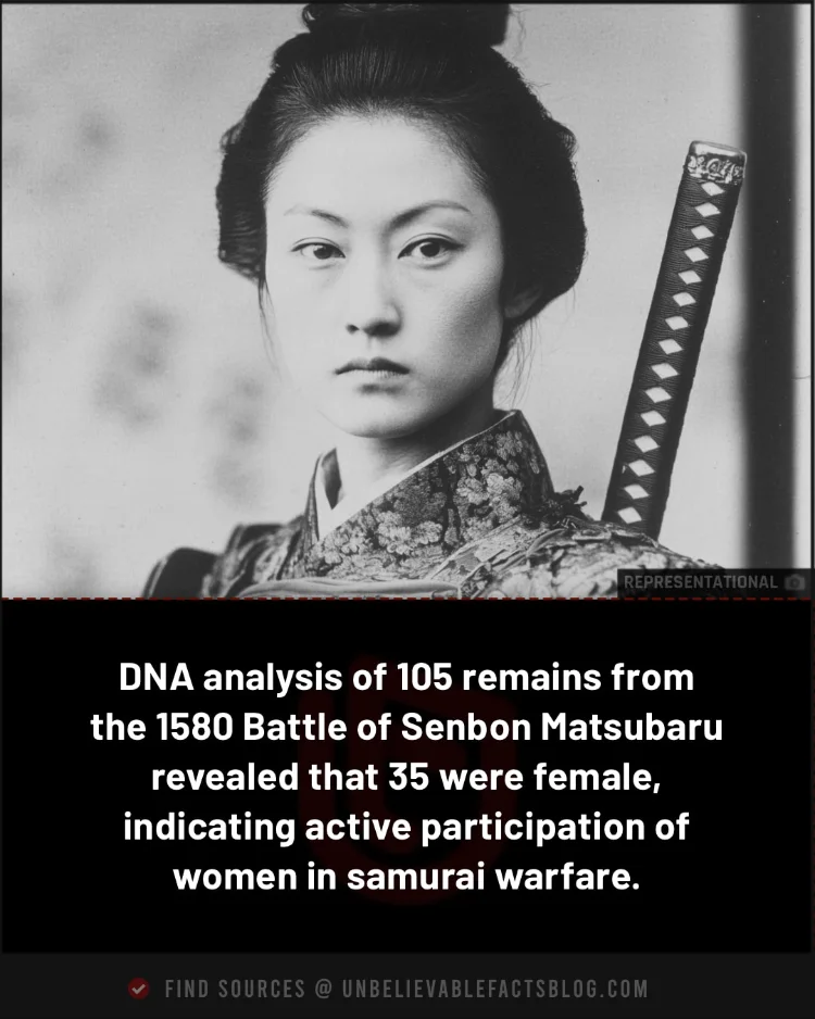 Archaeological evidence suggests women fought in 1580 Japanese battle.