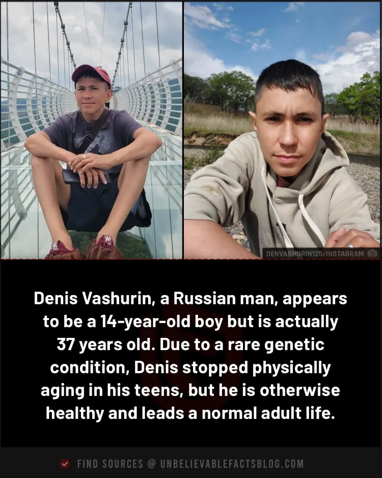 Denis Vashurin