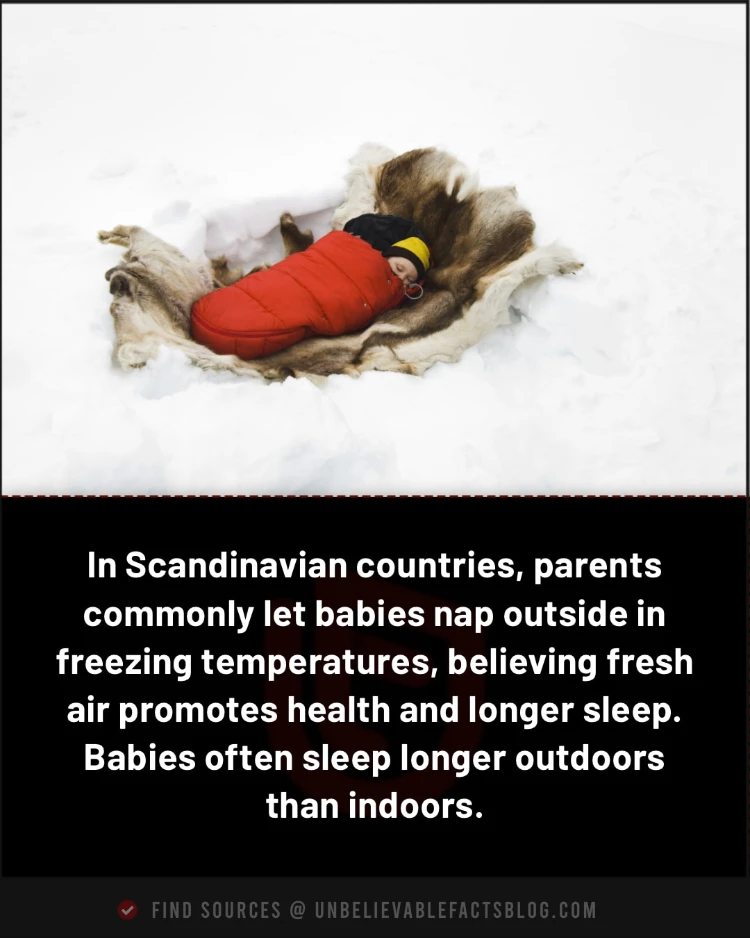 Scandinavian babies nap outside in cold for health benefits.