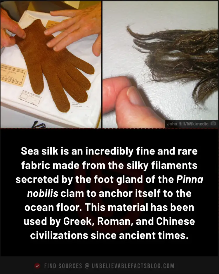 Sea silk, a rare fabric, originates from clam filaments.