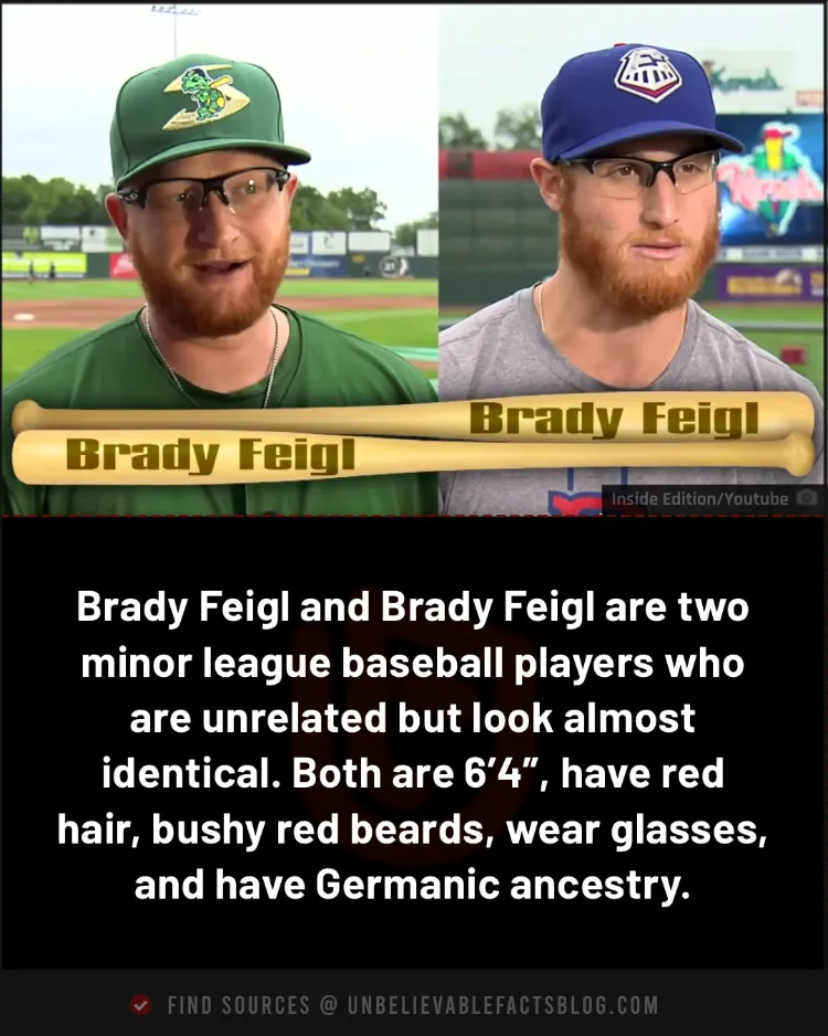 Two unrelated Brady Feigls look identical