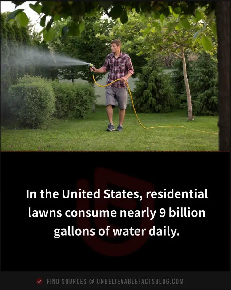 US lawns use 9 billion gallons of water daily for irrigation