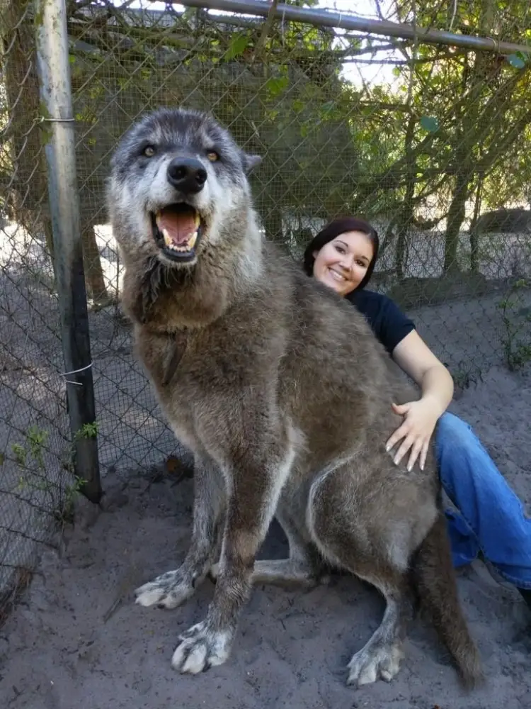 Yuki with Brittany Allen