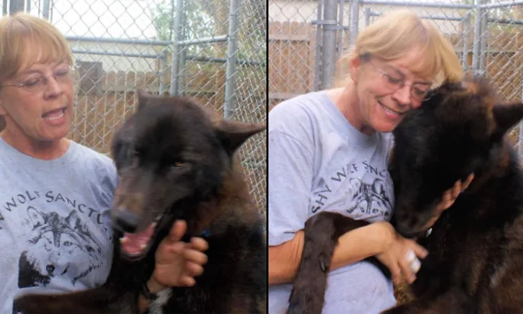 Yuki with volunteer Patsy