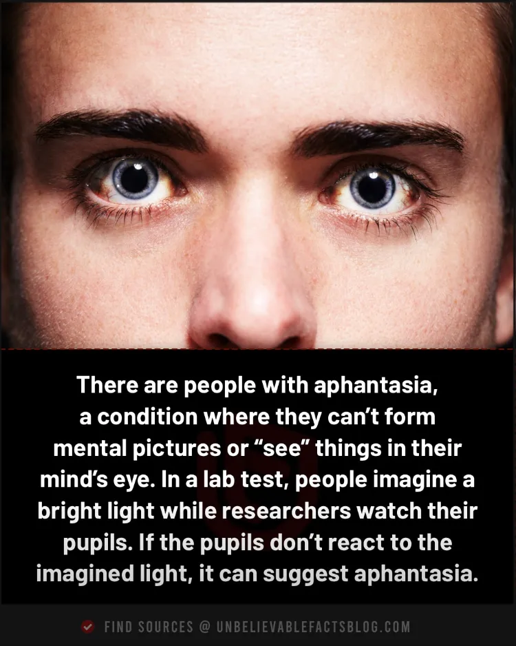 aphantasia aphantasia