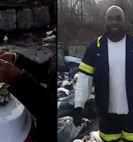 Picture 50 Heartwarming Facts That Will Brighten Your Day