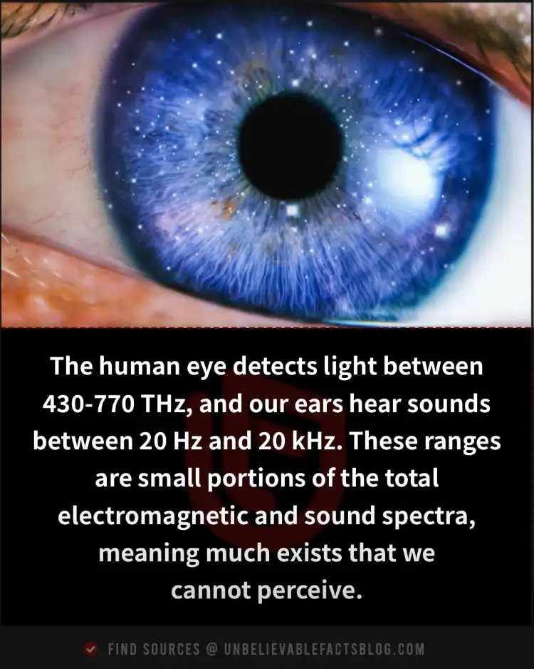 human eye detects light between 430-770 THz