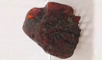 Picture Romanian Woman Used a $1 Million Amber Nugget as a Doorstop for Decades