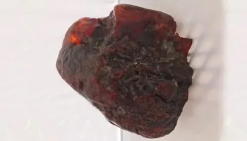 Picture Romanian Woman Used a $1 Million Amber Nugget as a Doorstop for Decades