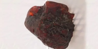 Picture Romanian Woman Used a $1 Million Amber Nugget as a Doorstop for Decades