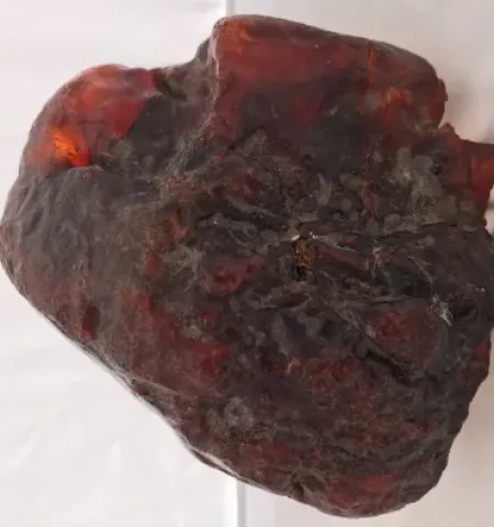 Picture Romanian Woman Used a $1 Million Amber Nugget as a Doorstop for Decades