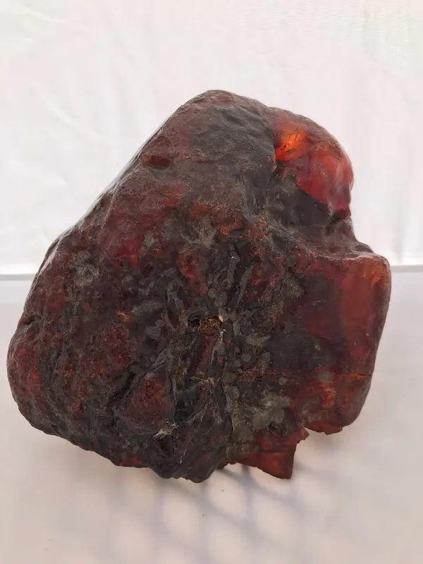 A $1 Million Amber Nugget.