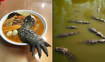 Picture Taiwan Restaurant Serves Ramen Topped with Crocodile Leg