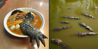 Picture Taiwan Restaurant Serves Ramen Topped with Crocodile Leg