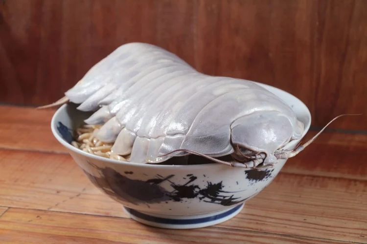 Isopod Ramen