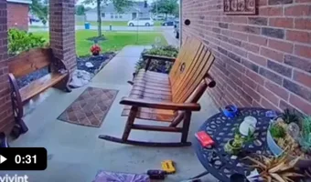 Picture Dad Protects Son from Bully in Viral Video Sparking Heartwarming Reactions