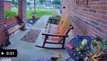 Picture Dad Protects Son from Bully in Viral Video Sparking Heartwarming Reactions