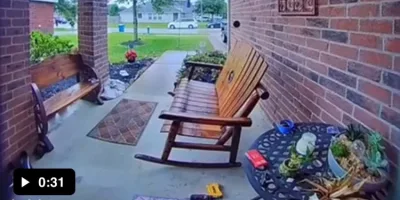 Picture Dad Protects Son from Bully in Viral Video Sparking Heartwarming Reactions