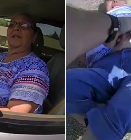 Picture 66-Year-Old Woman Pleads Guilty After Traffic Stop Escalates