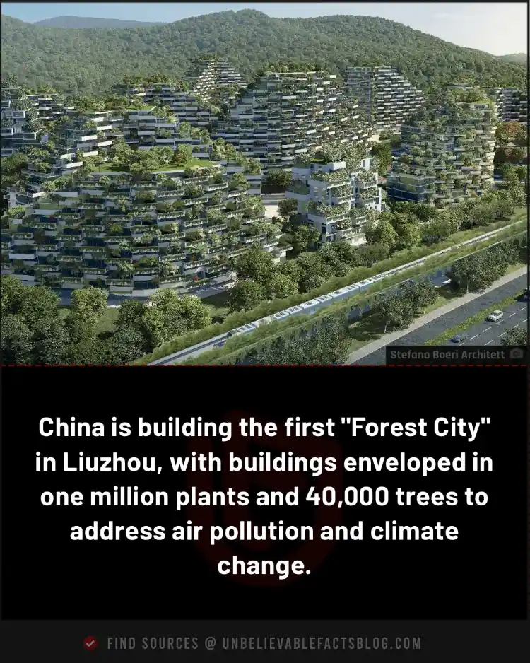 China is building the first "Forest City"