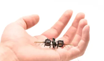 Picture MIT’s Latest Swarm of Robotic Bees Can Artificially Pollinate Flowers