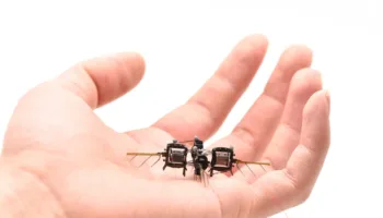 Picture MIT’s Latest Swarm of Robotic Bees Can Artificially Pollinate Flowers