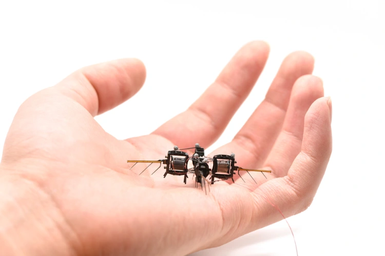 MIT’s Latest Robotic Bees Can Artificially Pollinate Flowers