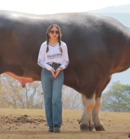 Picture The World’s Tallest Water Buffalo Is a Gentle Giant