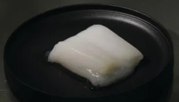 Picture Chicken Chunk Grown in Lab by Feeding Living Cells Oxygen