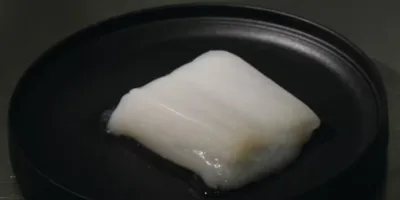 Picture Chicken Chunk Grown in Lab by Feeding Living Cells Oxygen