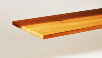 Picture Maryland Startup Invents ‘Superwood’-The Next-Gen Material Tougher Than Metal