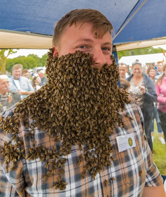 A contestant at the bee bearding contest Bee Bearding