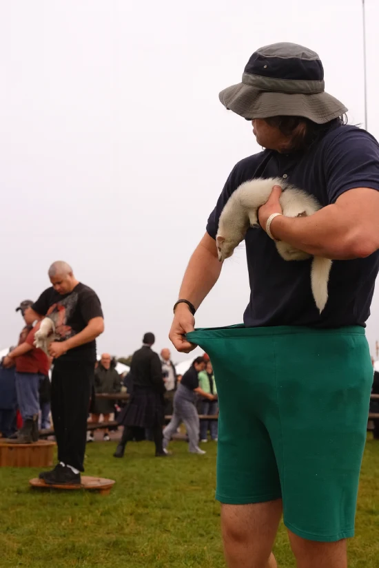 Ferret-Legging Ferret-Legging