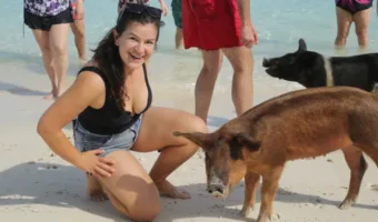 Picture An Uninhabited Island Run by Pigs — and they Love Tourists