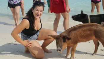 Picture An Uninhabited Island Run by Pigs — and they Love Tourists