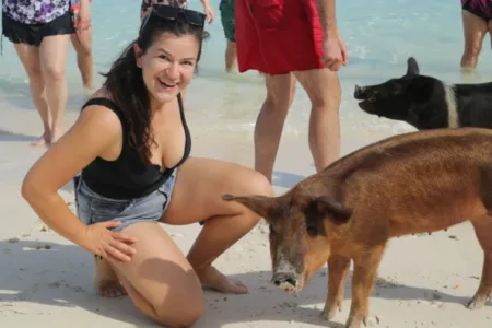 Picture An Uninhabited Island Run by Pigs — and they Love Tourists