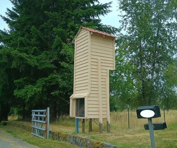 Driveway periscope Driveway periscope