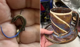 Picture 10 Strange Things People Found and Asked the Internet About