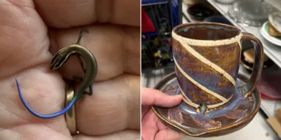 Picture 10 Strange Things People Found and Asked the Internet About