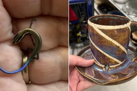 Picture 10 Strange Things People Found and Asked the Internet About