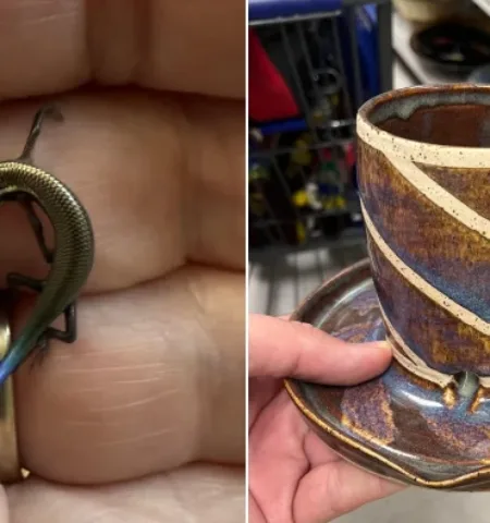 Picture 10 Strange Things People Found and Asked the Internet About