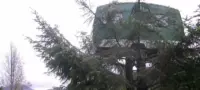 Picture This Bizarre Airbnb Has a 1960s Caravan Sitting 13 Feet Up a Tree