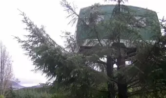 Picture This Bizarre Airbnb Has a 1960s Caravan Sitting 13 Feet Up a Tree