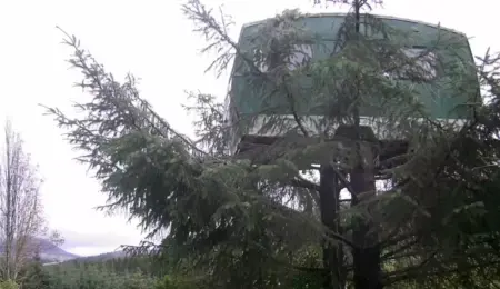 Picture This Bizarre Airbnb Has a 1960s Caravan Sitting 13 Feet Up a Tree